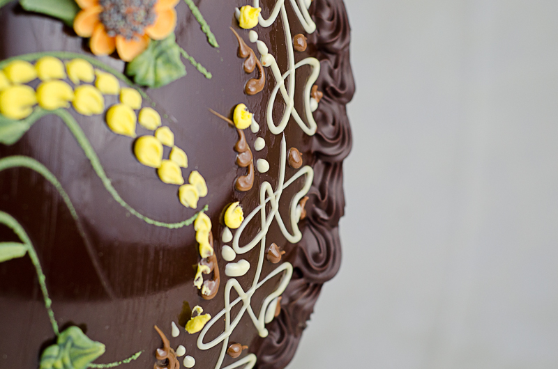 particolare Uovo classico particolare Uovo classico